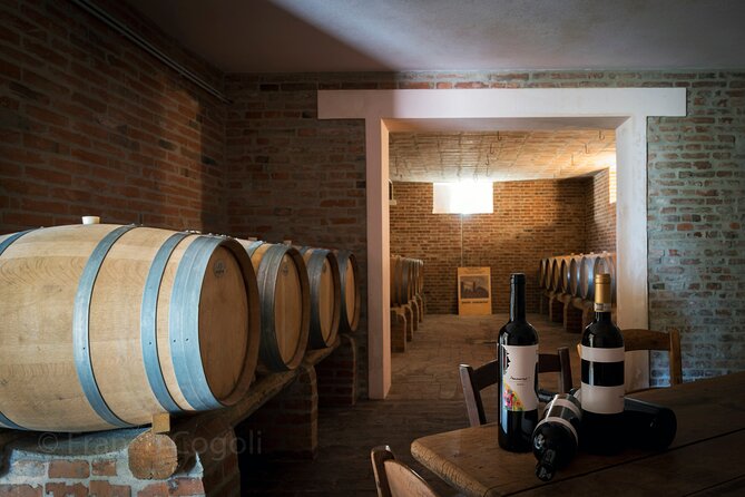Bologna Wine Tasting & Winery Tour in the Colli Bolognesi - Cancellation and weather details