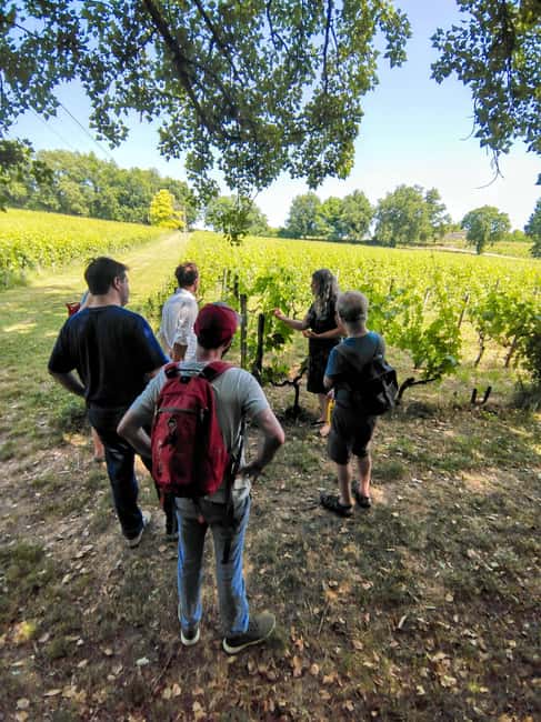 Bordeaux by Gravel Bike : Historic center & vineyards - Along the Garonne toward Latresne