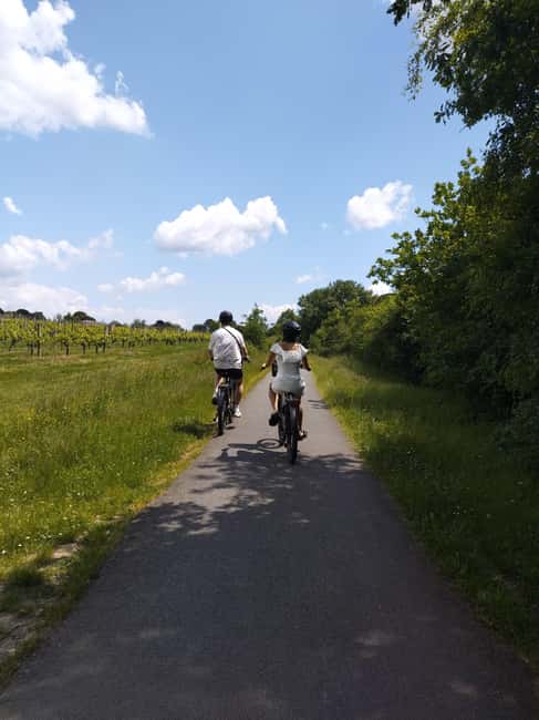 Bordeaux by Gravel Bike : Historic center & vineyards - Guide, group size, and languages