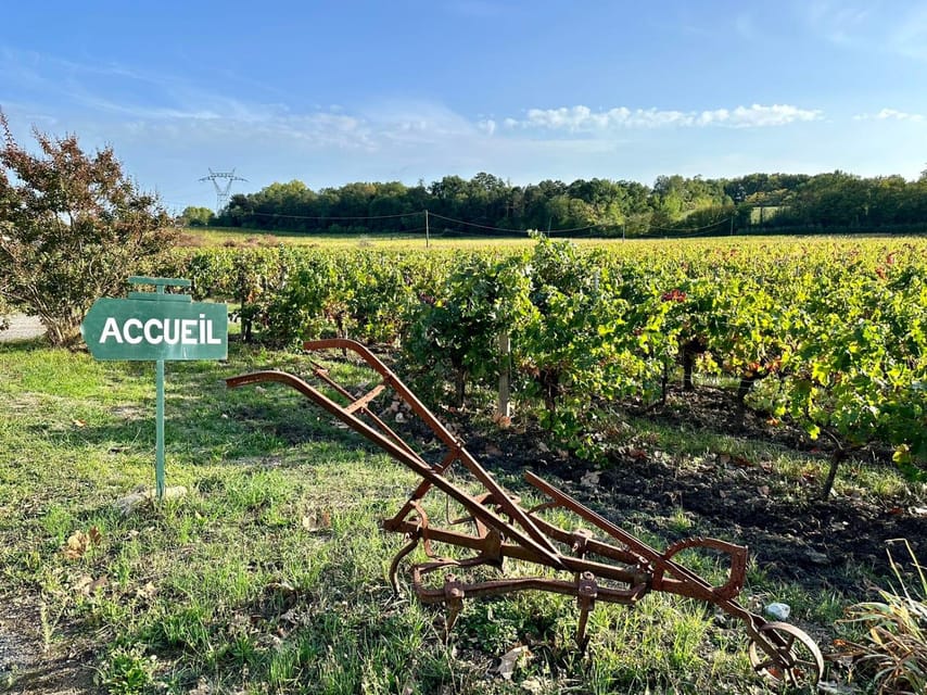 Bordeaux: Explore an Organic Family Vineyard with Tasting - A few limitations to keep in mind