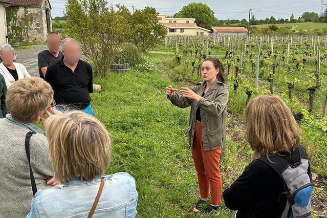 Bordeaux: Explore an Organic Family Vineyard with Tasting - Why this small Bordeaux vineyard is worth your time