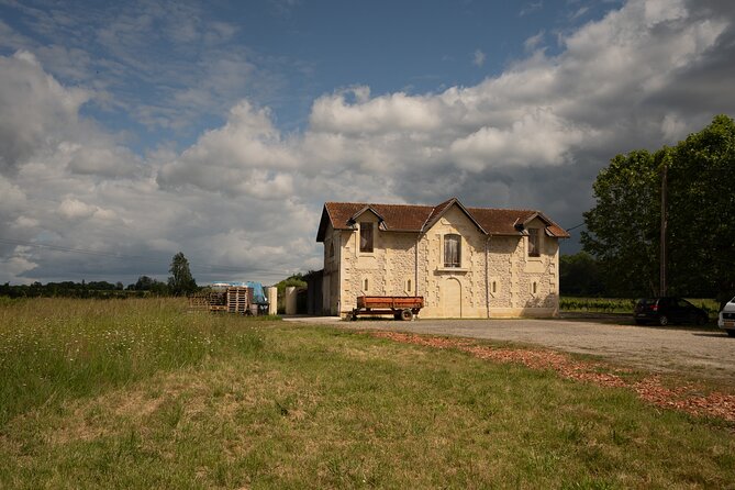 Bordeaux: Explore an Organic Family Vineyard with Tasting - The tasting: up to 10 wines and grape juice
