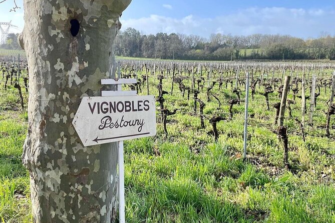 Bordeaux: Explore an Organic Family Vineyard with Tasting - Marie’s personal touch makes the difference