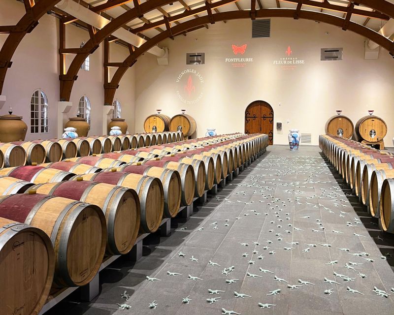 Bordeaux: St-Emilion Vineyards e-Bike Tour with Wine & Lunch - The second château and the wine process