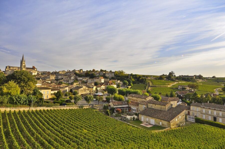 Bordeaux: Vineyards Wine Tasting Half-Day Trip - Médoc: two estates and a famous wine name