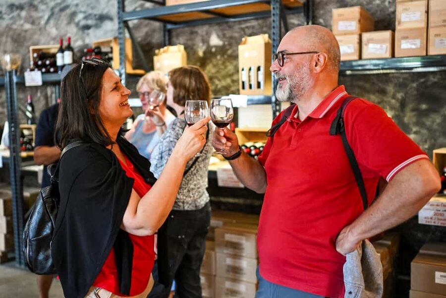 Bordeaux: Vineyards Wine Tasting Half-Day Trip - Winter means Saint-Émilion every Saturday
