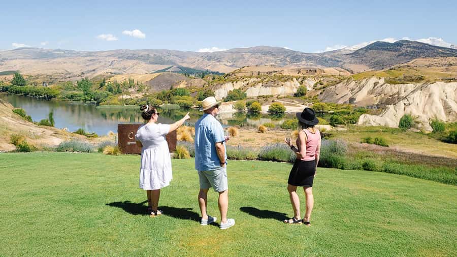 Boutique Winery Half-Day Tour & Vineyard Platter-Style Lunch - History and scenery without a separate sightseeing stop