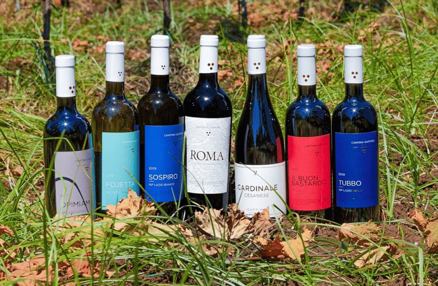 Boutique Winery Visit & Tasting near Rome - Four wines, two styles, and a generous platter