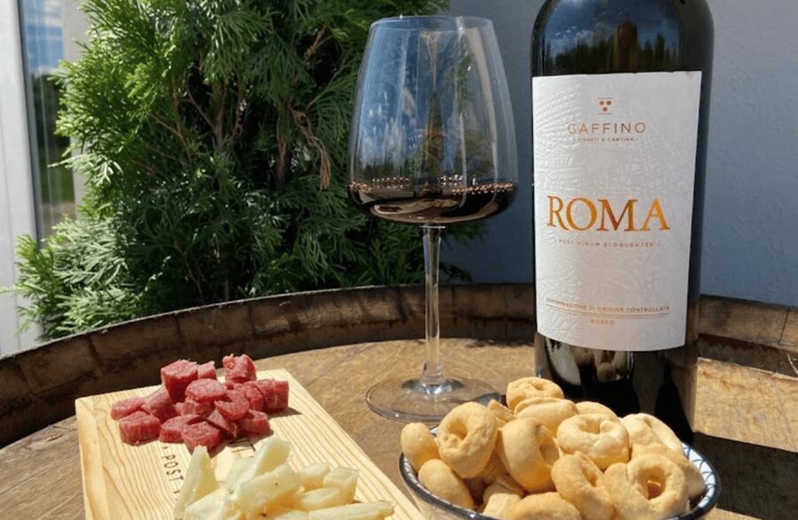 Boutique Winery Visit & Tasting near Rome - Practical limits you should consider