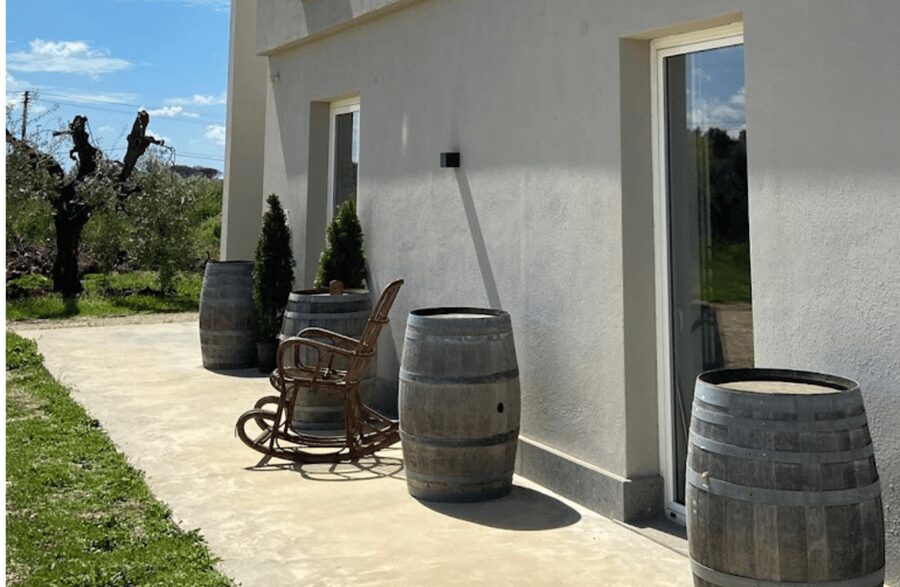 Boutique Winery Visit & Tasting near Rome - Should you book this winery visit?