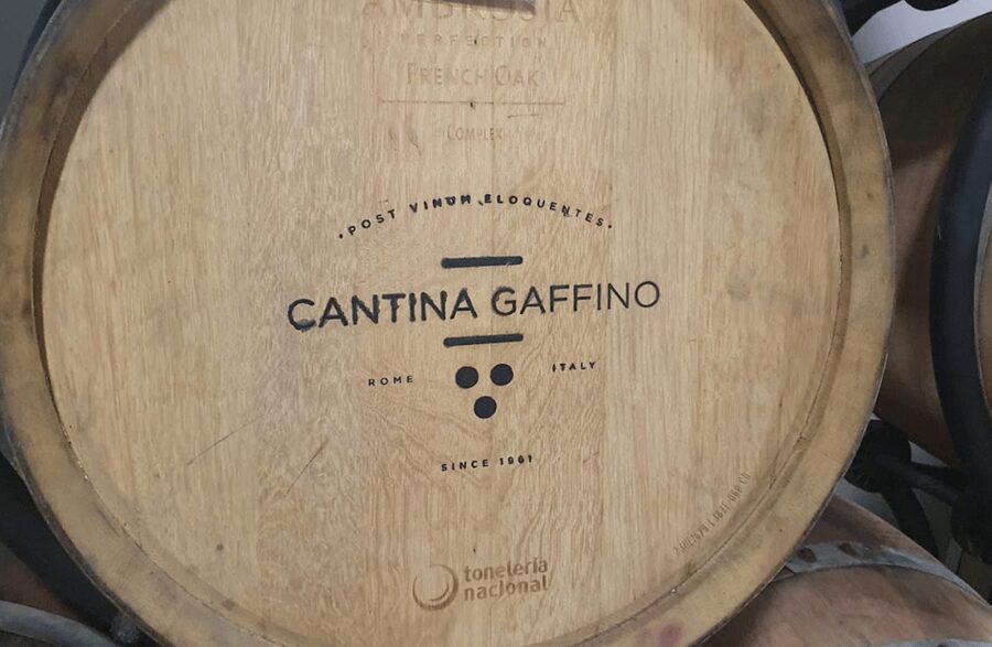 Boutique Winery Visit & Tasting near Rome - A ten-minute walk through Lazio’s vines