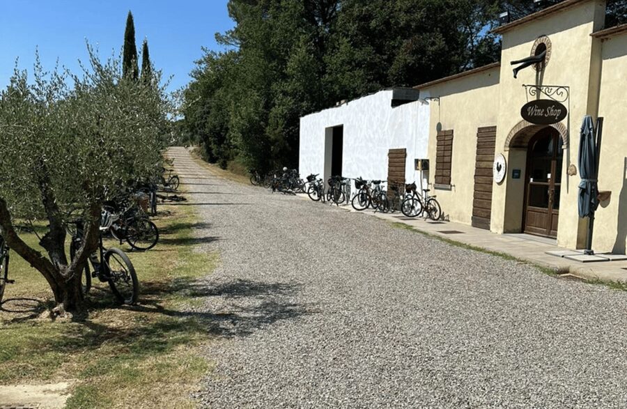 Boutique Winery Visit & Wine Tasting near Arezzo - Who will enjoy this winery visit
