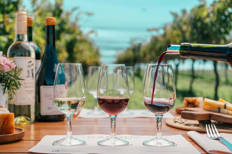 Buenos Aires: Wine Tasting & Lunch at Gamboa Vineyard - Key points to know before booking