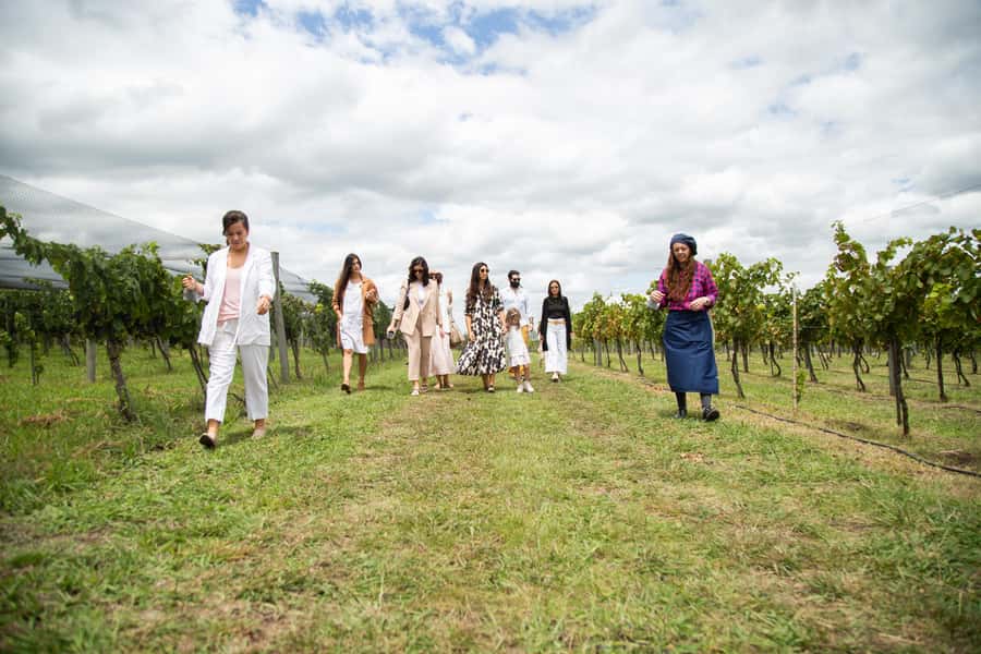 Buenos Aires: Wine Tasting & Lunch at Gamboa Vineyard - Who will enjoy this day most