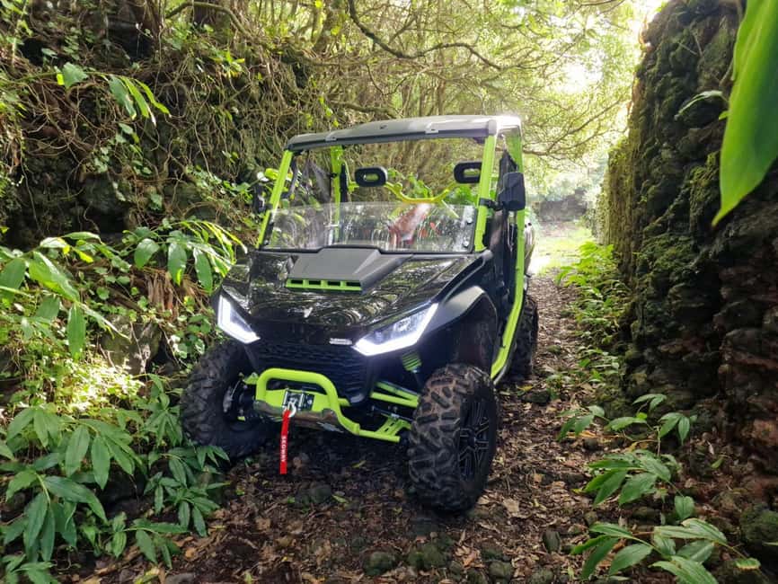 Buggy ride through the vineyards of Pico Island - What makes this buggy tour worth considering