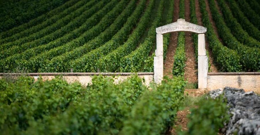Burgundy Vineyards: Luxury Private Tours - Why this Burgundy tour is different
