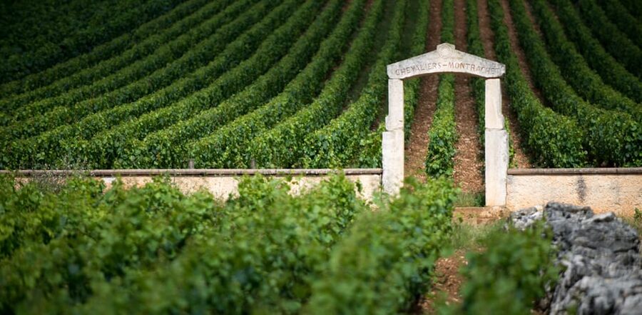 Burgundy Vineyards: Luxury Private Tours - What the $572 price includes