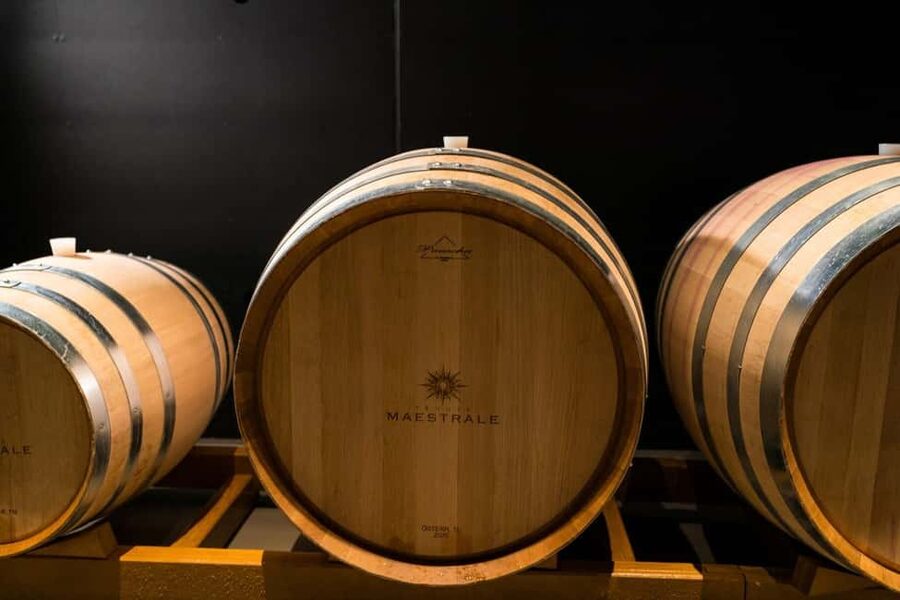 Cagliari - Guided tour of the vineyard and winery with tasting of 5 wines - Who will enjoy Tenute Maestrale most