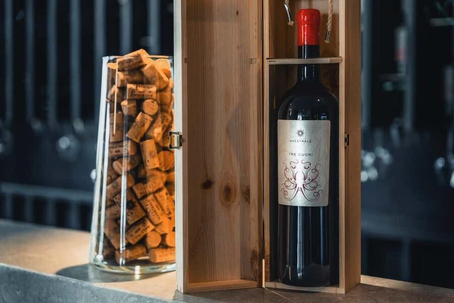 Cagliari - Guided tour of the vineyard and winery with tasting of 5 wines - Inside the winery, from grapes to aging