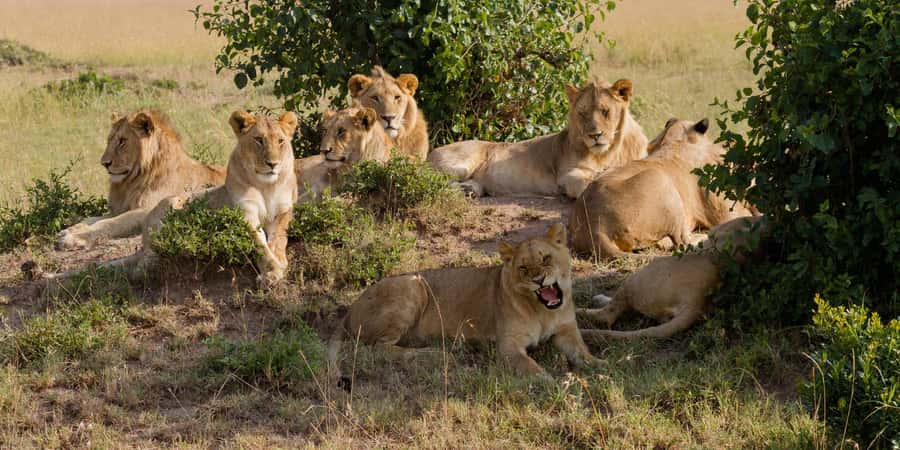 Cape Town: Aquila Reserve Safari with Lunch and Winery Visit - The road from Cape Town to Aquila