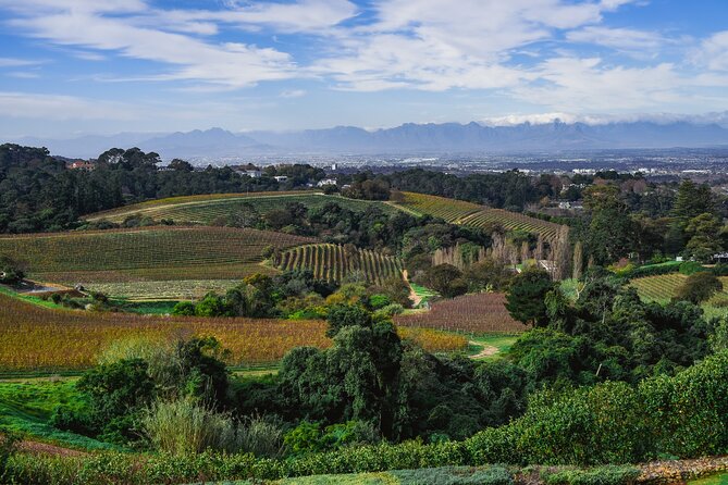 Cape Town: Constantia Wine Route Tour - La Cotte Farm: lunch at your own expense