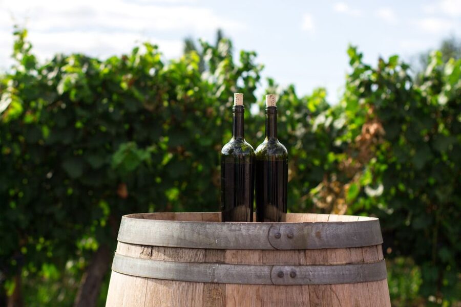 Cappadocia Vineyards Private Tour and Wine Tasting - What to bring and what to leave behind