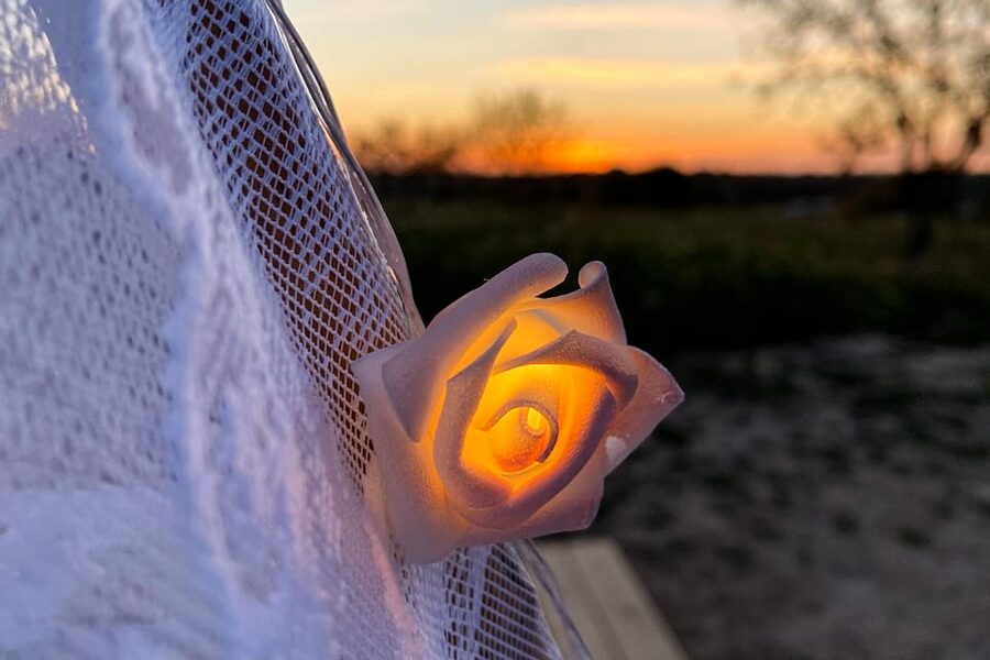 Carvoeiro, Portimão, Lagos: Algarve Romantic Vineyard Picnic - A private sunset setting near Lagoa