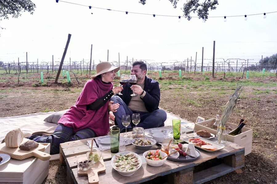 Carvoeiro, Portimão, Lagos: Algarve Romantic Vineyard Picnic - What the private format changes