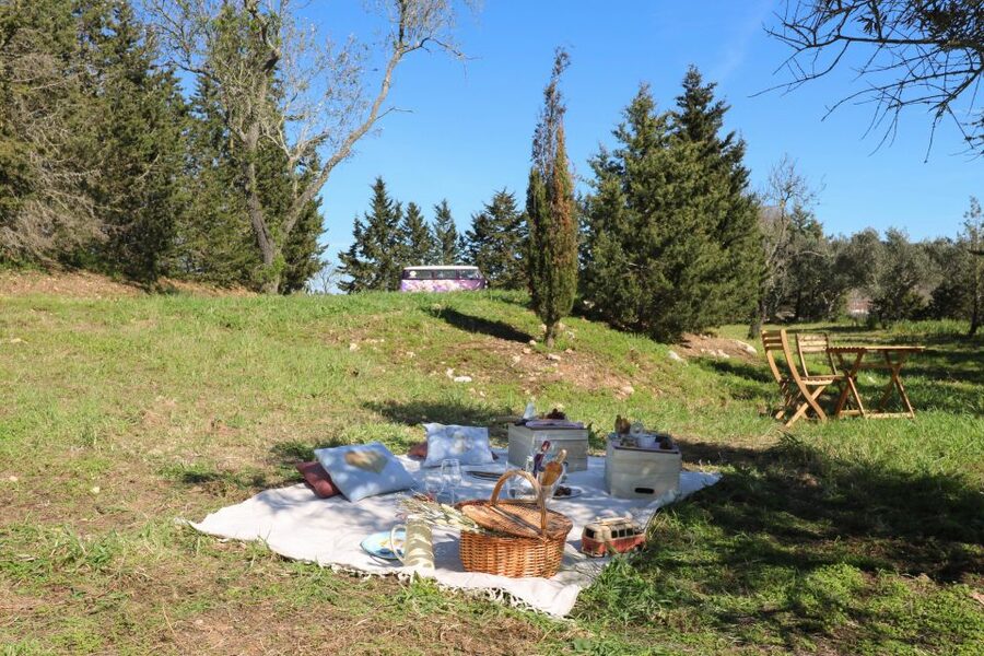 Carvoeiro, Portimão, Lagos: Algarve Romantic Vineyard Picnic - Timing, comfort, and weather