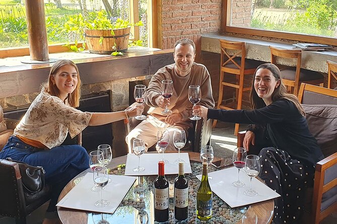 Casablanca world class wines, 4 vineyards & Tanino lunch stop - Viñamar: sparkling wine and a change of pace