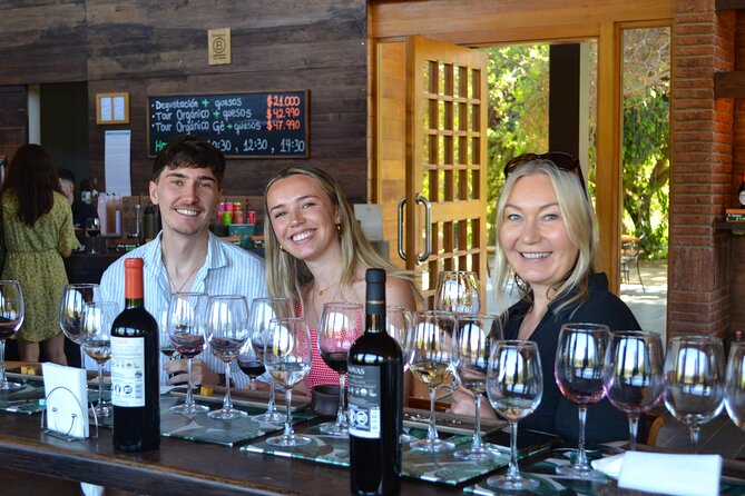 Casablanca world class wines, 4 vineyards & Tanino lunch stop - Emiliana Organic Vineyards: a thoughtful first tasting
