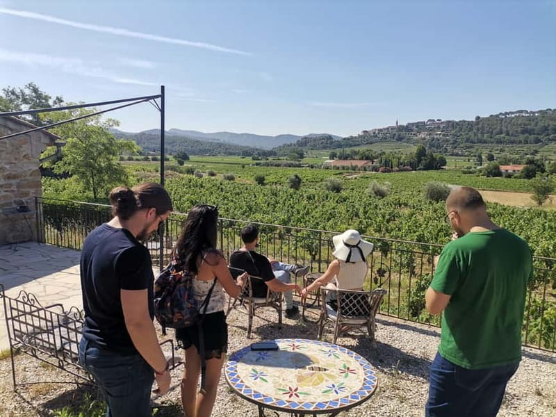 Cassis, Bandol, Le Castellet wine tour: Cliffs and Vineyards - Should you book the Cliffs and Vineyards tour?