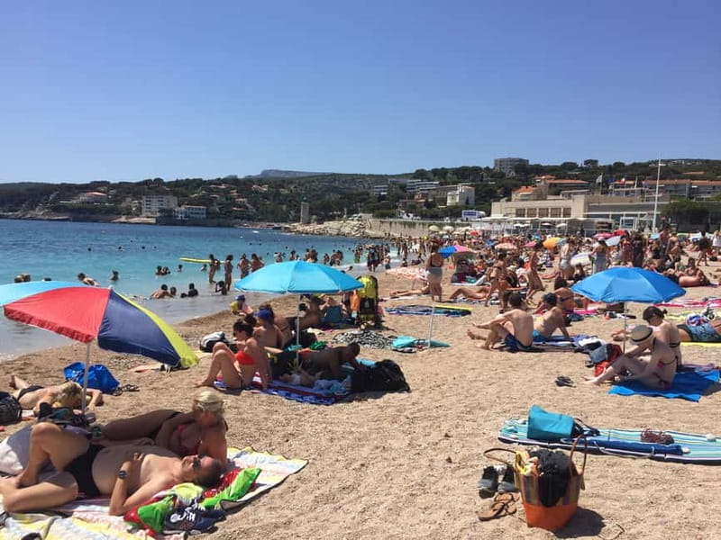 Cassis, Bandol, Le Castellet wine tour: Cliffs and Vineyards - Starting from Marseille Port
