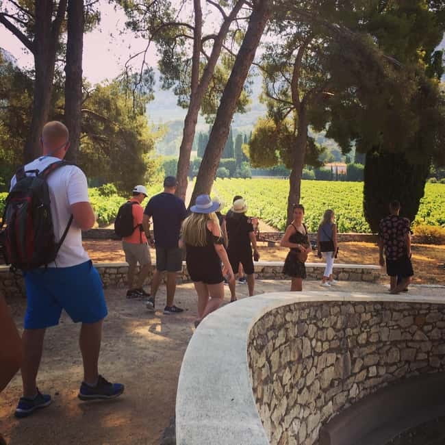 Cassis, Bandol, Le Castellet wine tour: Cliffs and Vineyards - Le Castellet and Bandol options
