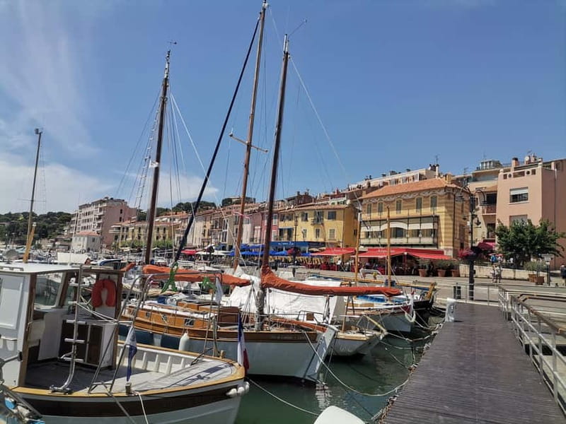 Cassis, Bandol, Le Castellet wine tour: Cliffs and Vineyards - Guide quality and group size