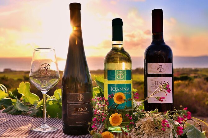 Castelsardo Vineyard and Wine Tasting Experience with Sunset - A vineyard evening close to Castelsardo