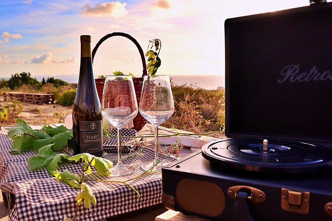 Castelsardo Vineyard and Wine Tasting Experience with Sunset - Price, group size, and overall value