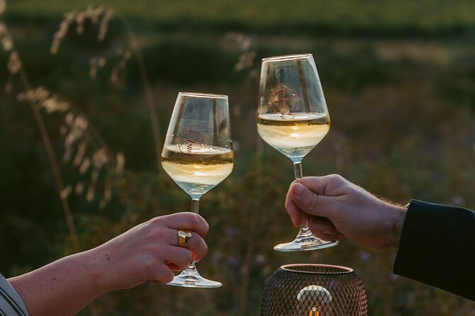 Castelsardo Vineyard and Wine Tasting Experience with Sunset - Walking the rows with Giovanni