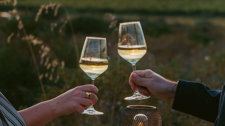 Castelsardo: visit a vineyard with wine tasting at sunset - Tasting two Vermentinos and one Cannonau