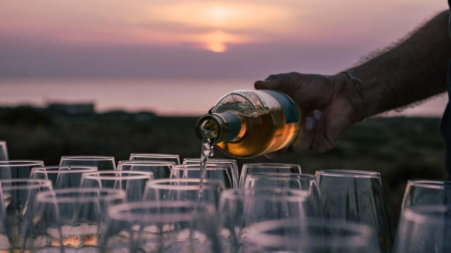 Castelsardo: visit a vineyard with wine tasting at sunset - Practical tips for a smoother visit