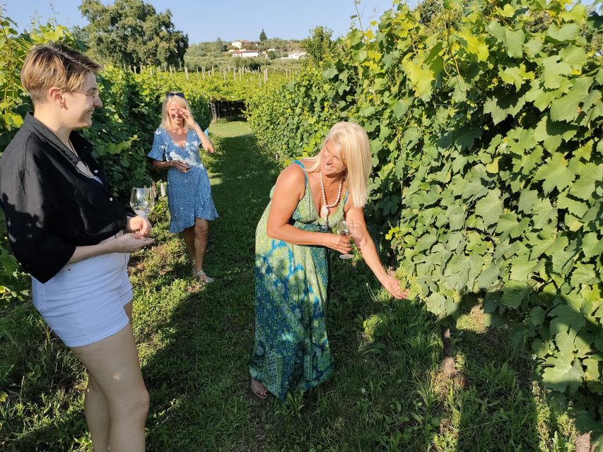 Cavaion: Lake Garda Wine & Food Tasting with Vineyard Tour - Key points to know before you go
