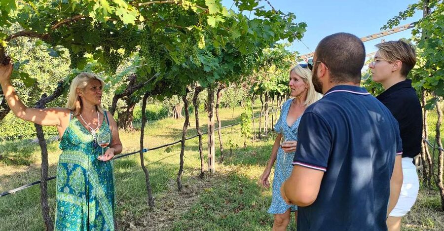 Cavaion: Lake Garda Wine & Food Tasting with Vineyard Tour - A quiet start among Lake Garda’s inland hills