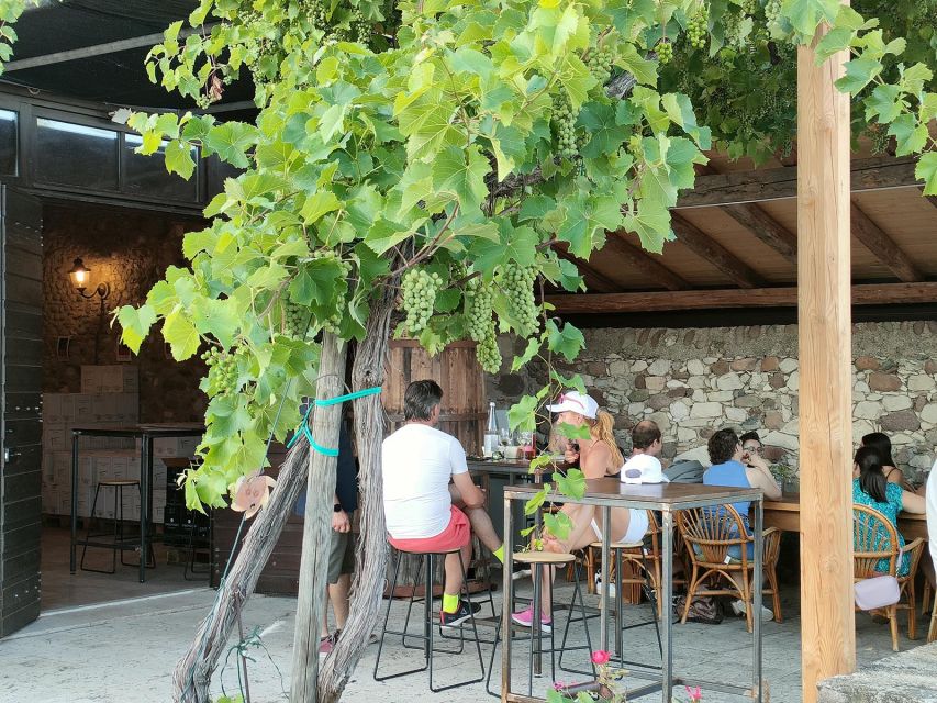 Cavaion: Lake Garda Wine & Food Tasting with Vineyard Tour - Tasting three or five wines from the area