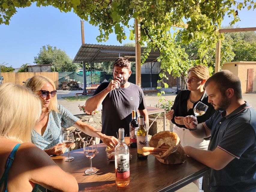 Cavaion: Lake Garda Wine & Food Tasting with Vineyard Tour - Getting there and allowing enough time