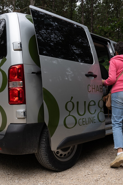 Chablis: Visit of the Grand Cru vineyard - Key points before you book