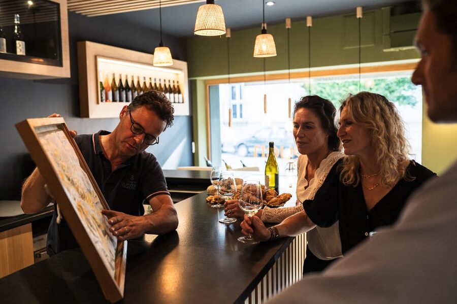 Chablis: Visit of the Grand Cru vineyard - What the 50-minute vineyard walk teaches you