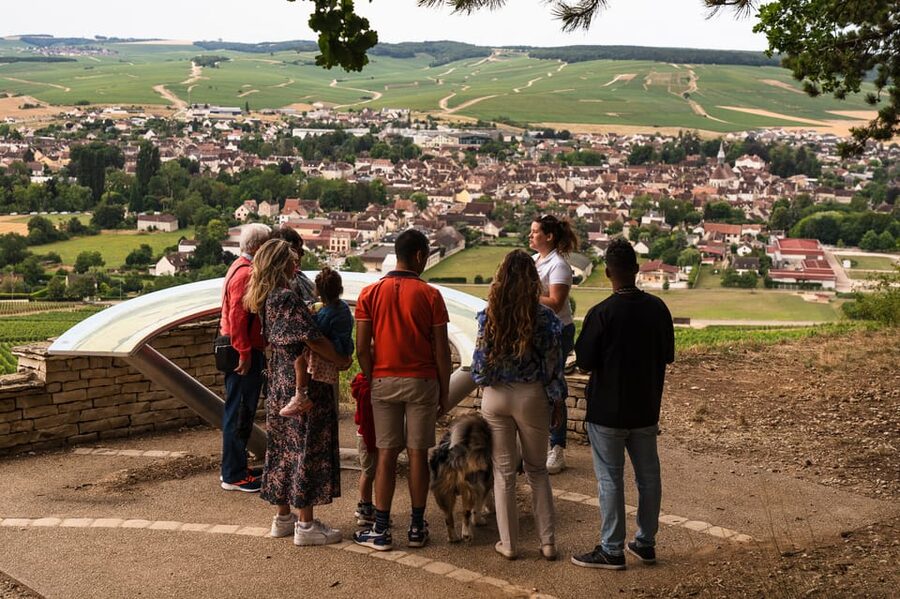 Chablis: Visit of the Grand Cru vineyard - Why the AOC explanation matters