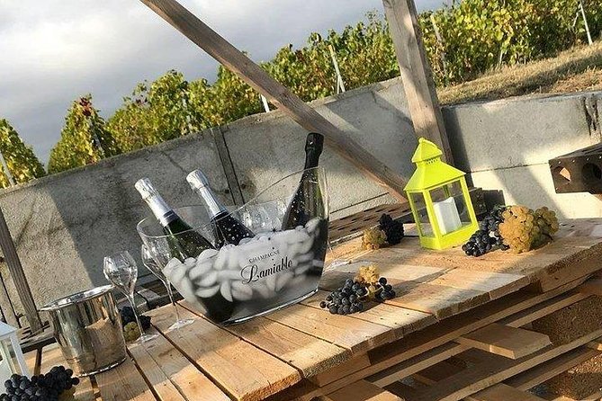 Champagne Lamiable: Stroll and taste in the Grand Cru Champagne vineyard - Key points to know before booking