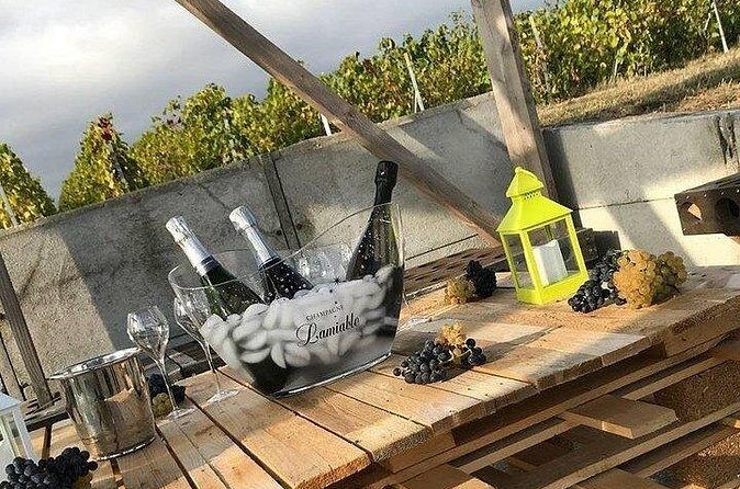 Champagne Lamiable: Stroll and taste in the Grand Cru Champagne vineyard - Tasting three original cuvées