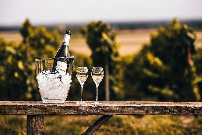 Champagne Lamiable: Stroll and taste in the Grand Cru Champagne vineyard - How the weather can affect your visit